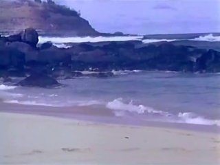 생강 린, ron jeremy - surf, 모래 & 포르노를 - 에이 작은 비트 의 hanky panky